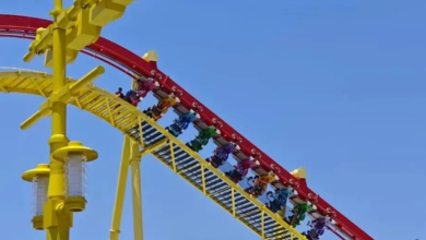 Shanghai LEGOLAND Roller Coaster Malfunction Leaves Visitors Stranded in Scorching Heat